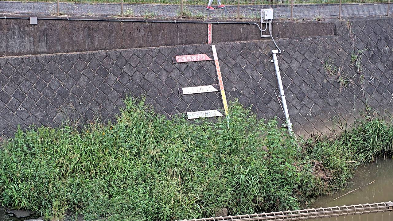 静止画