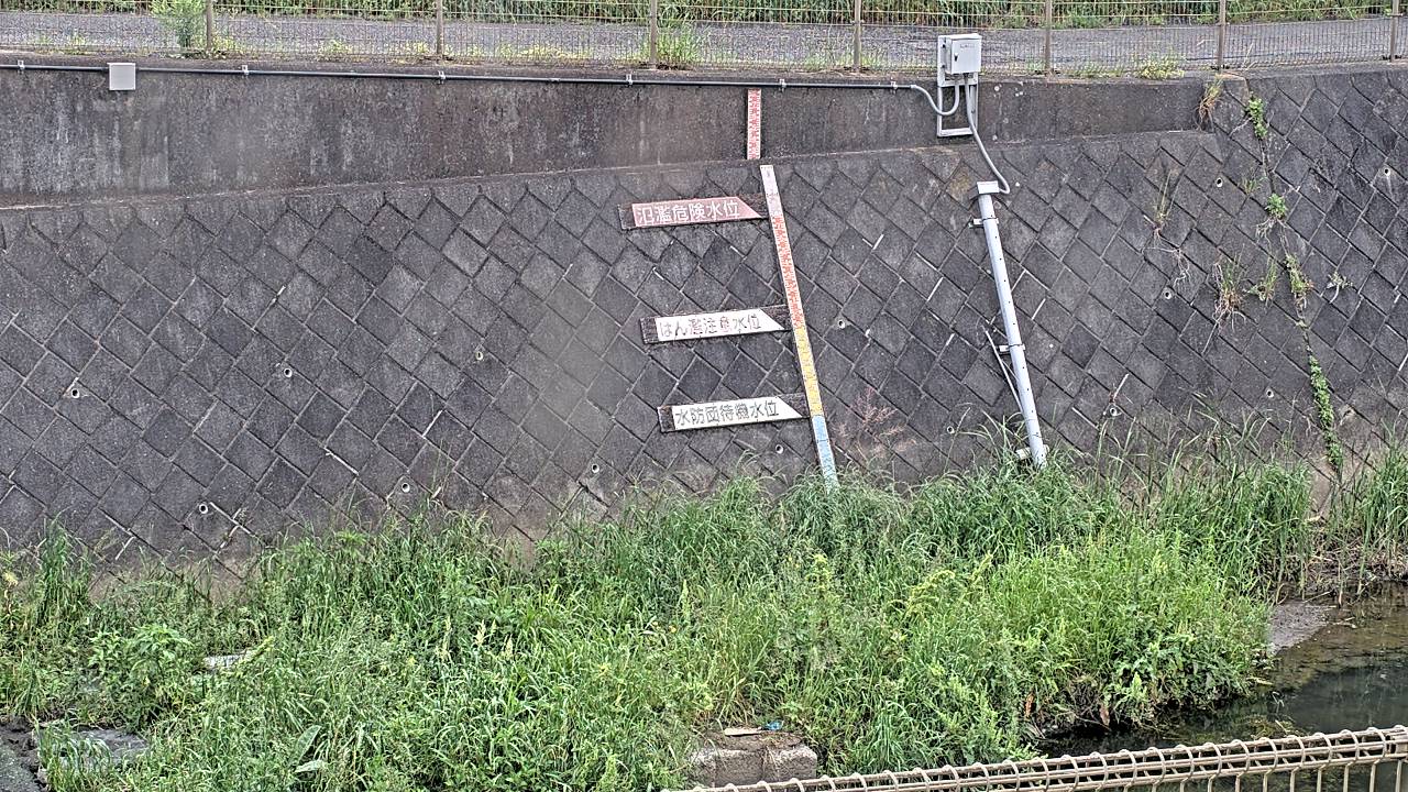 静止画