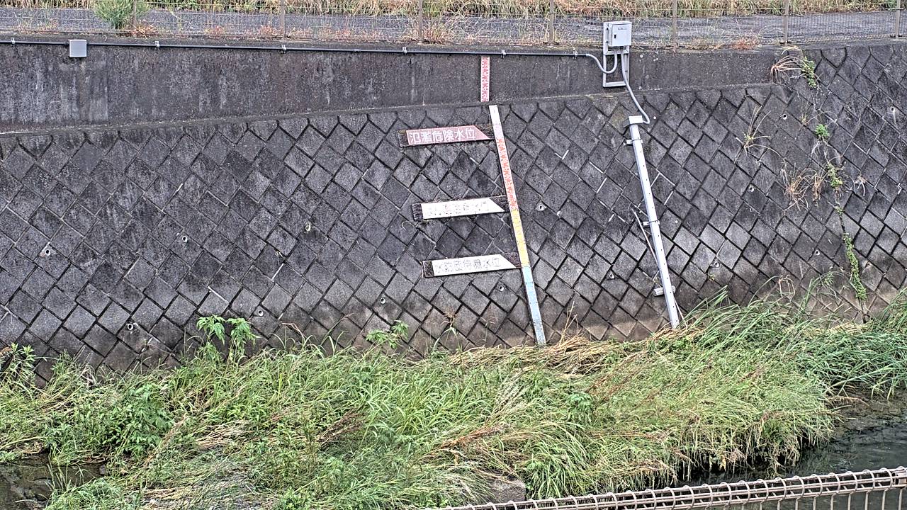 静止画