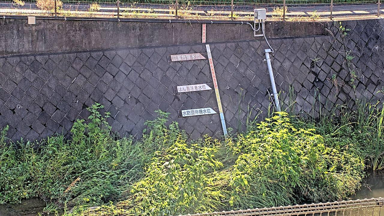 静止画