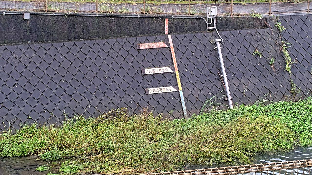 静止画