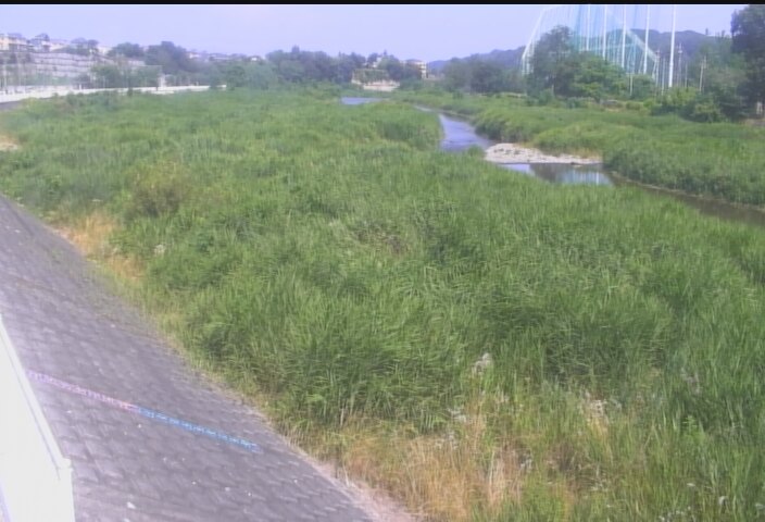 静止画