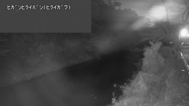静止画