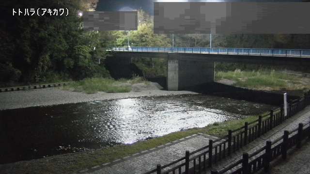 静止画
