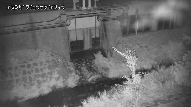 静止画