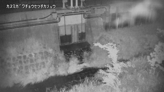 静止画