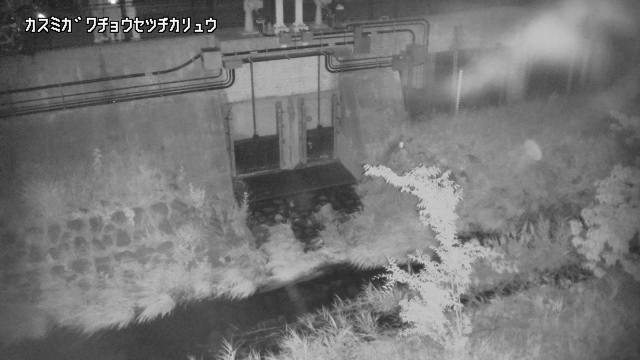 静止画