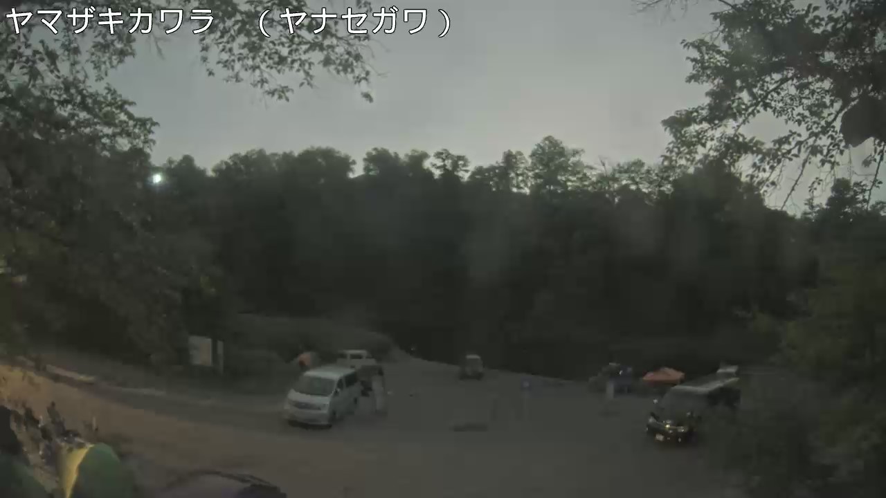 静止画