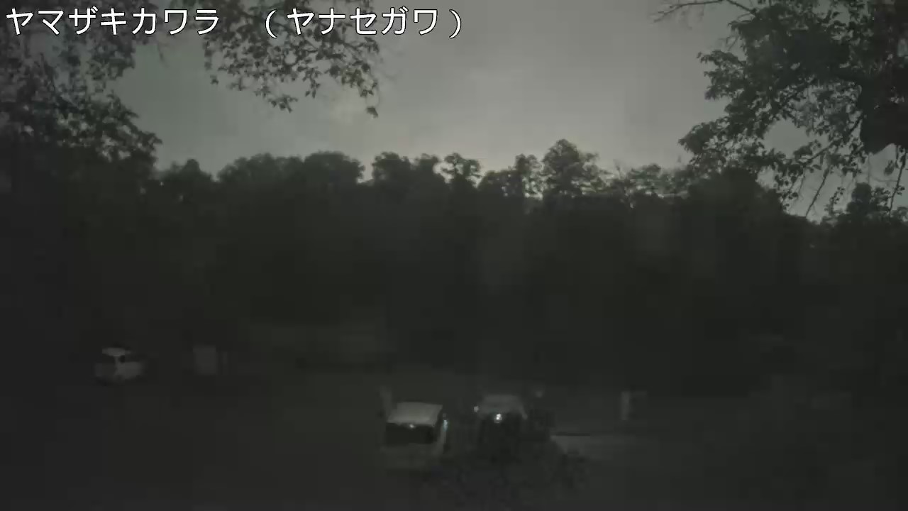 静止画