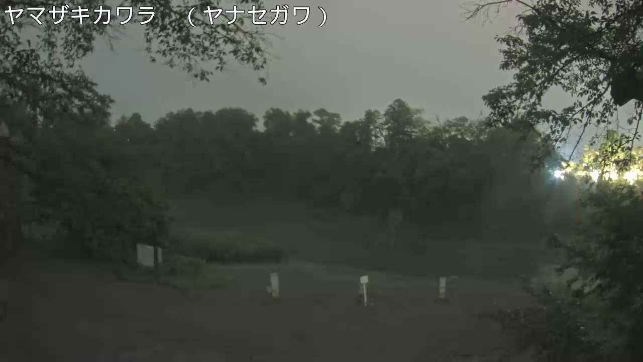 静止画