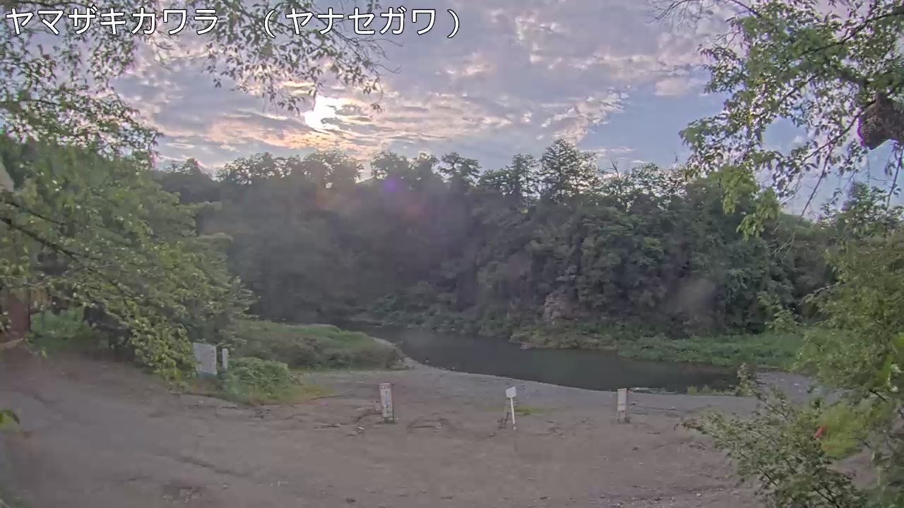 静止画
