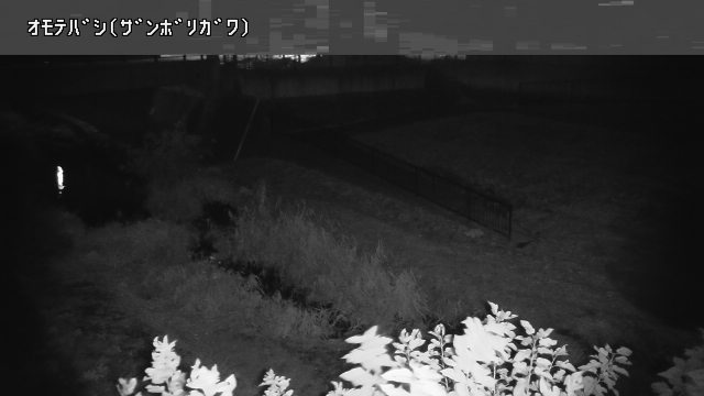 静止画