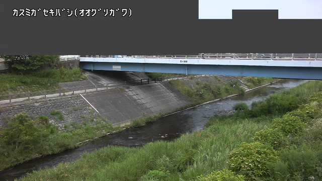 静止画