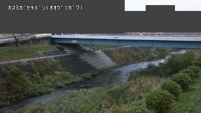 静止画