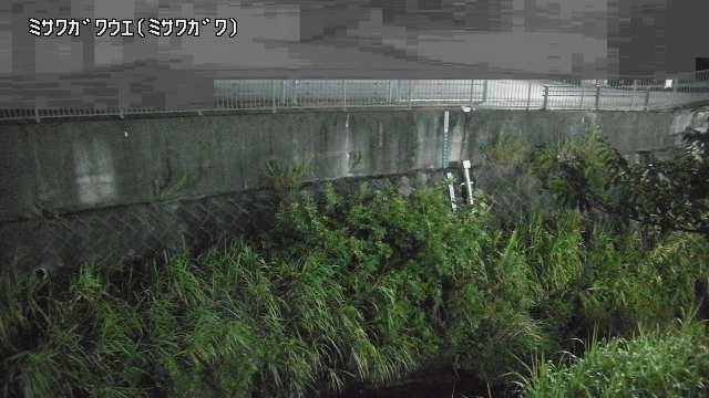 静止画