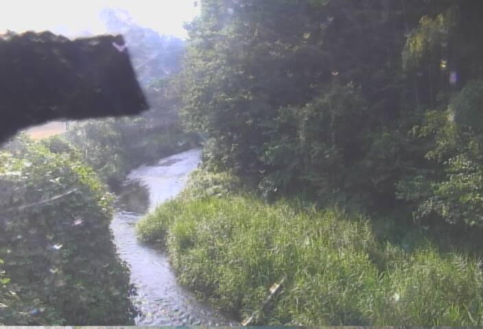 静止画