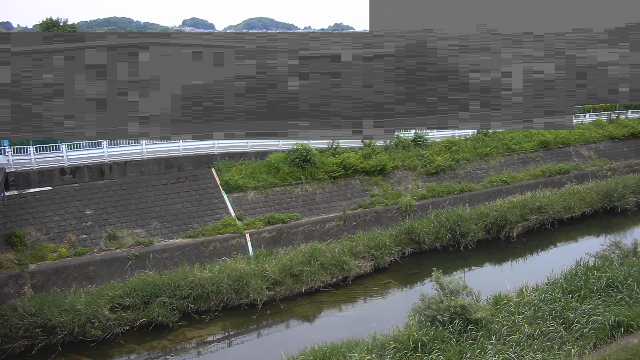 静止画