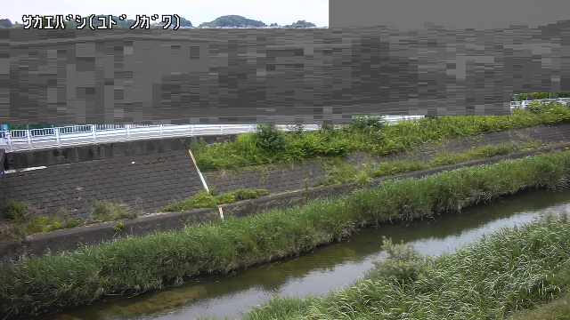 静止画