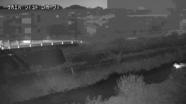 静止画
