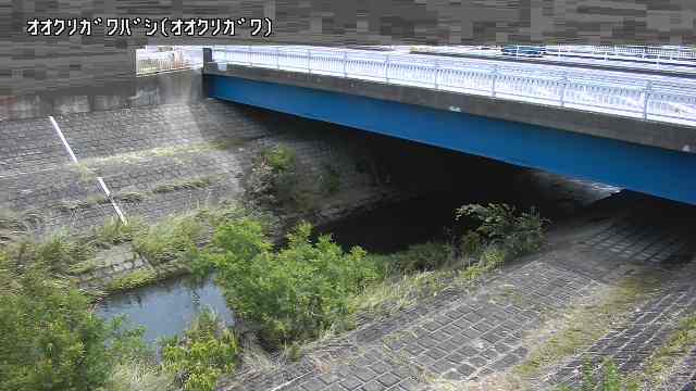 静止画