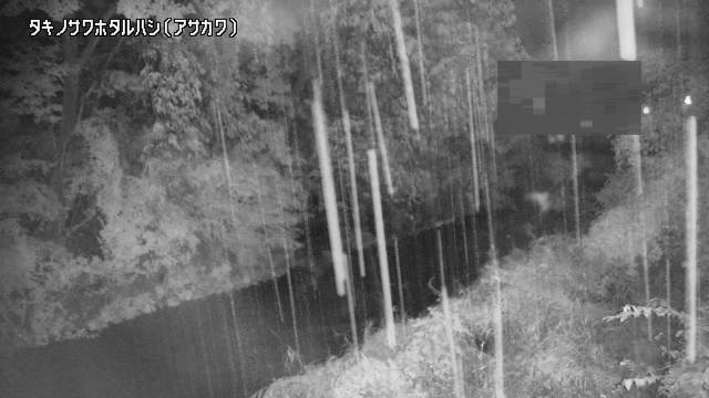静止画