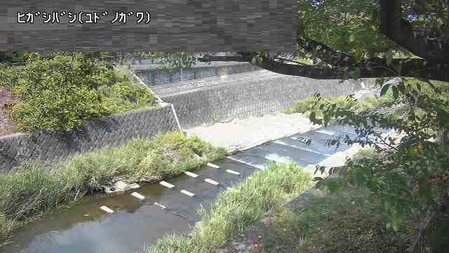 静止画
