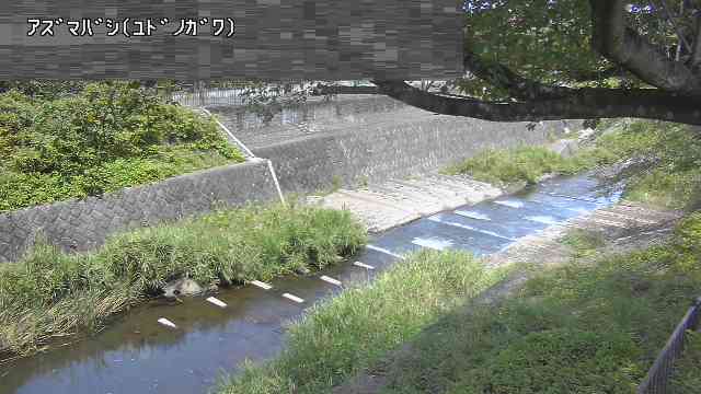 静止画