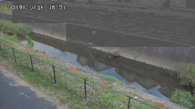 静止画