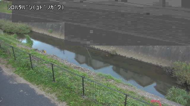 静止画