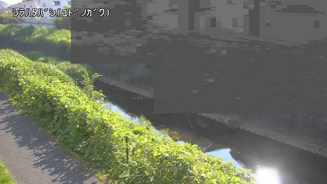 静止画