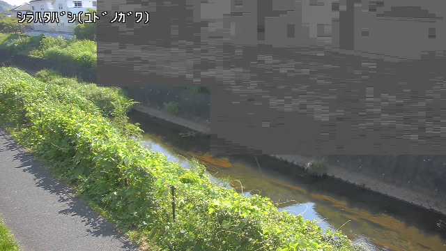 静止画