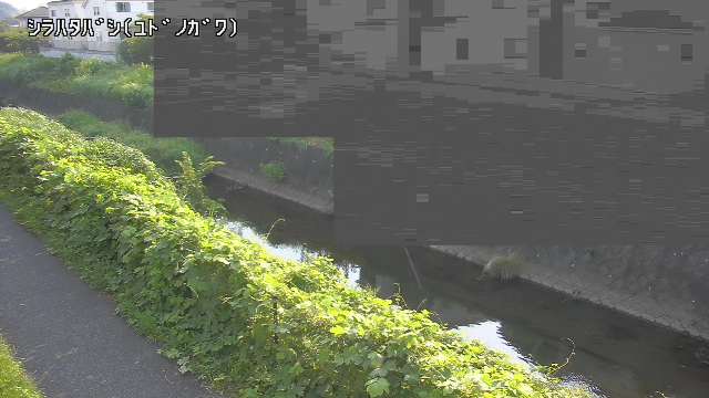 静止画