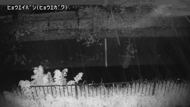 静止画