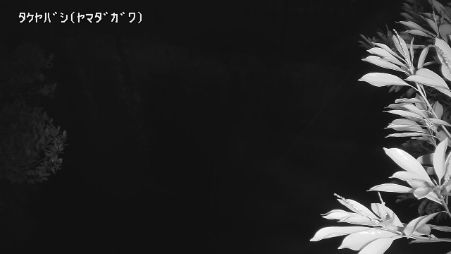 静止画