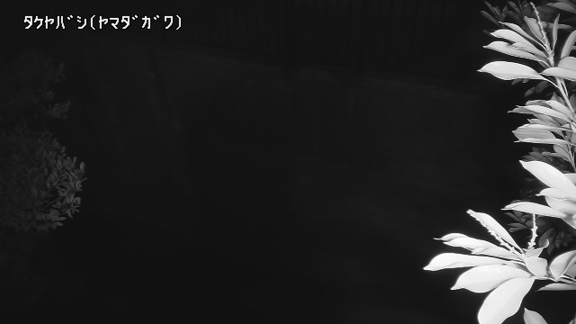静止画
