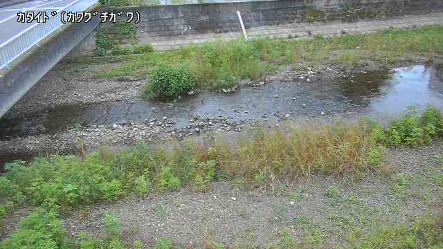 静止画