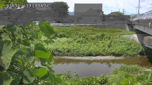 静止画