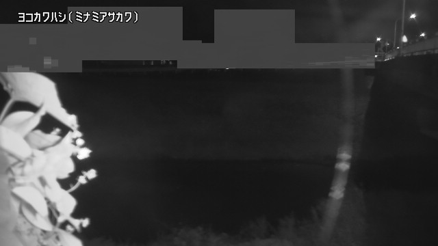 静止画