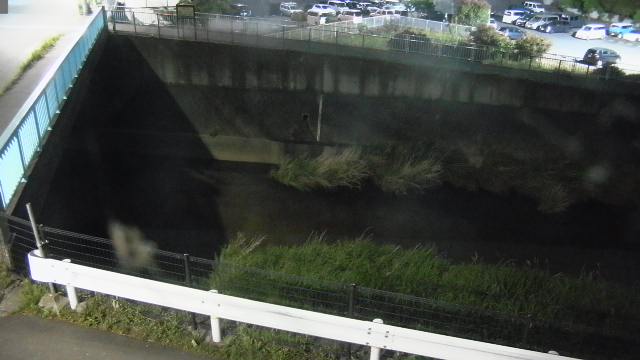 静止画