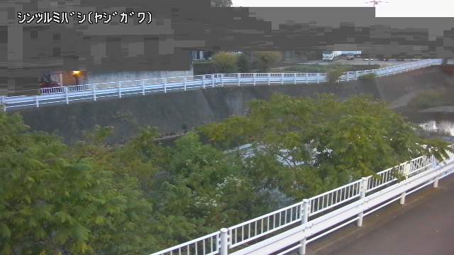 静止画