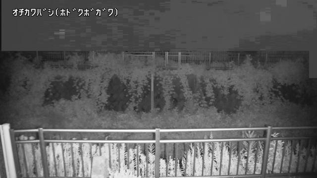 静止画