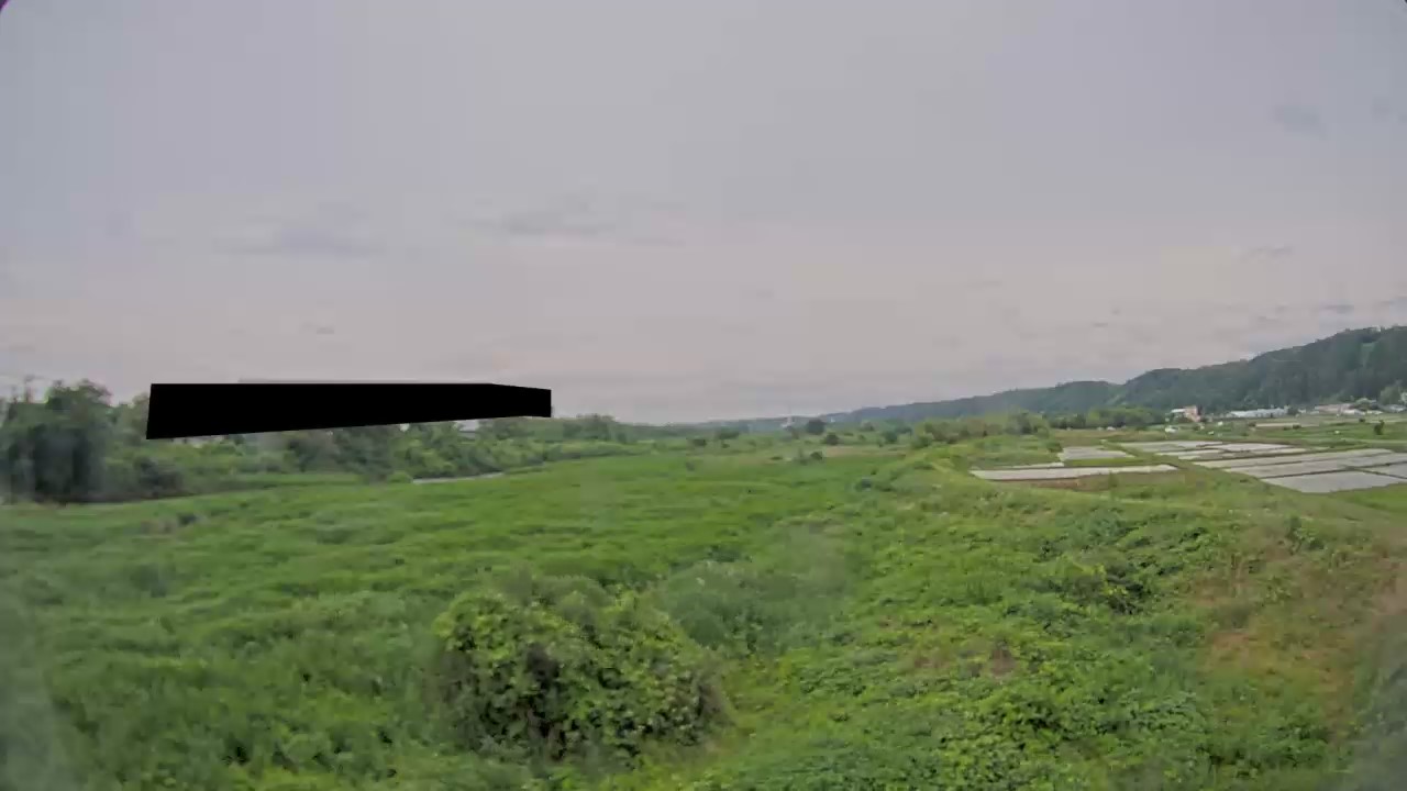 静止画