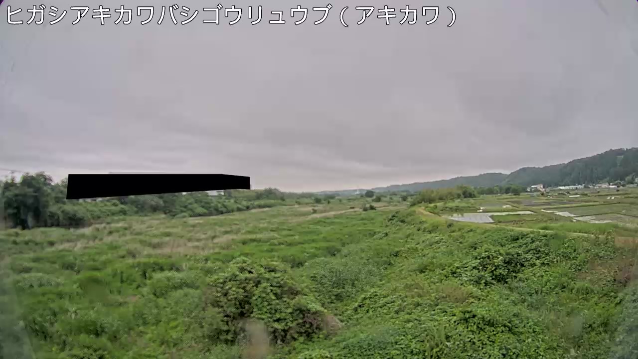 静止画
