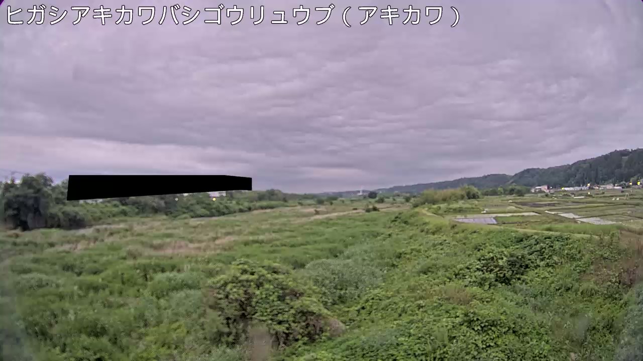 静止画