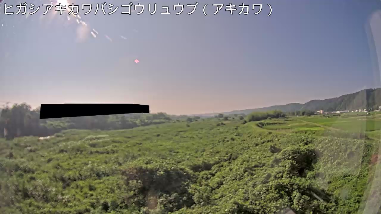 静止画