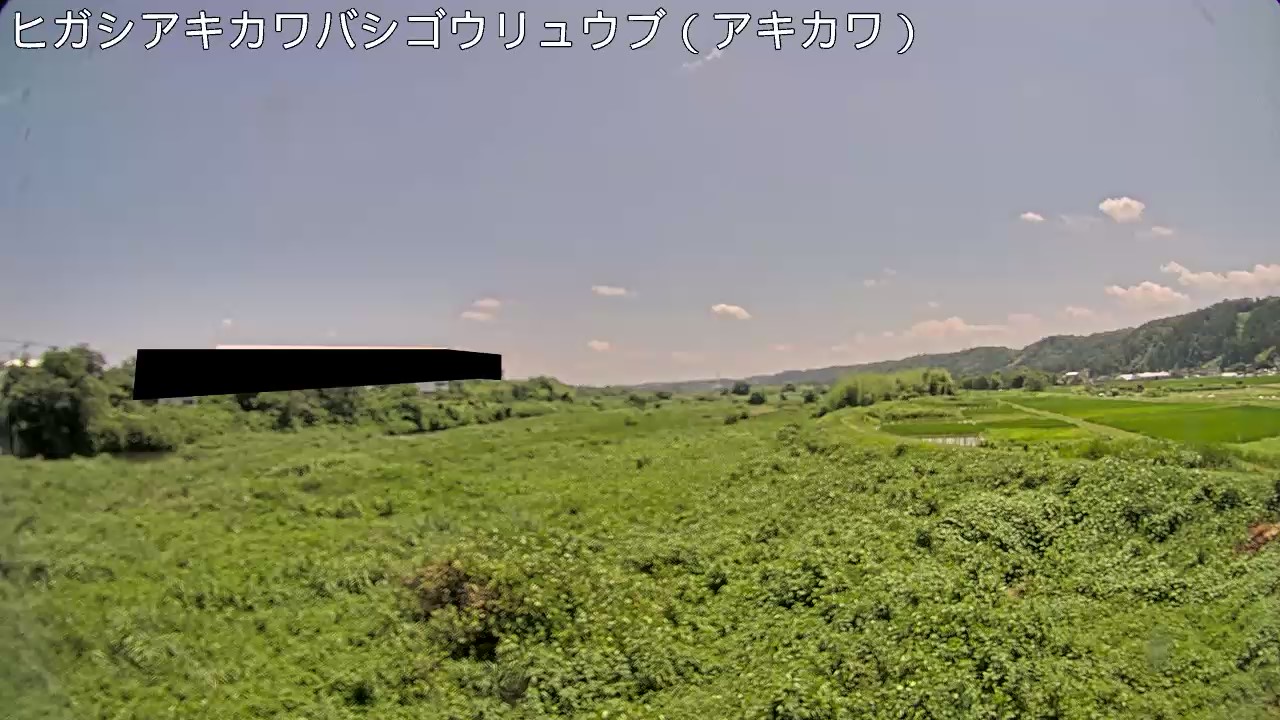 静止画