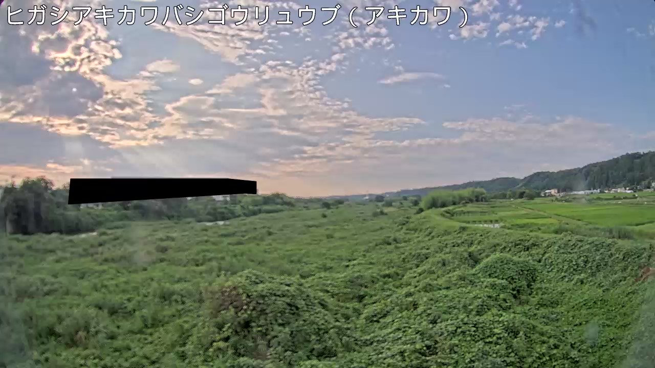 静止画