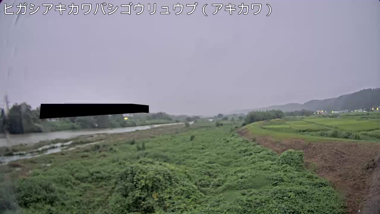 静止画