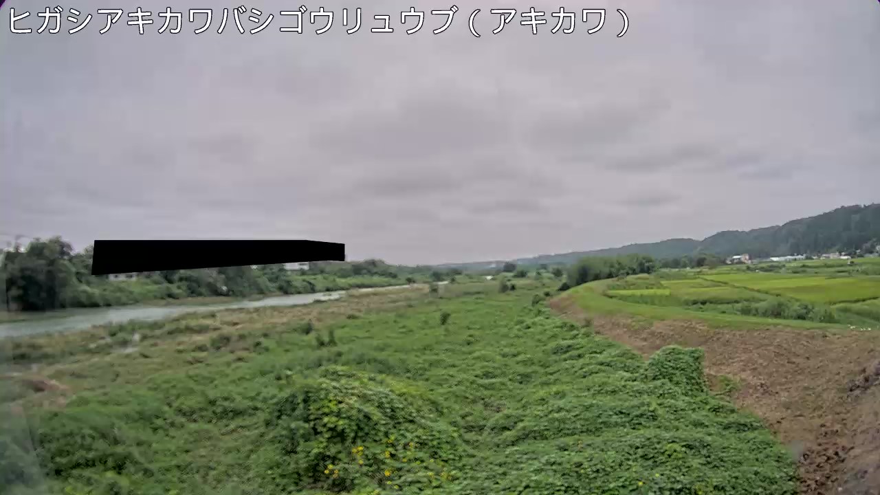 静止画