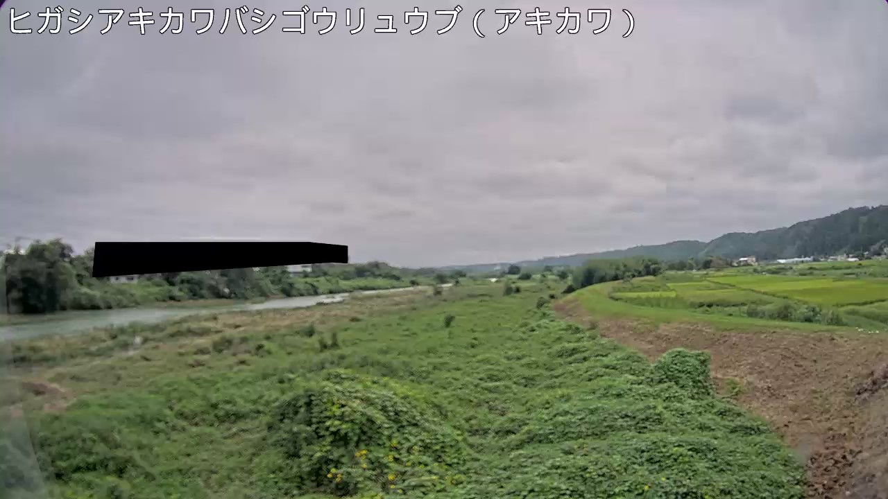 静止画